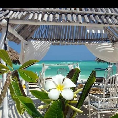 Luxury Simba House In Watamu ☆☆☆☆☆ Apartment Ngoại thất bức ảnh