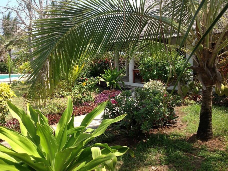 Luxury Simba House In Watamu ☆☆☆☆☆ Apartment Ngoại thất bức ảnh