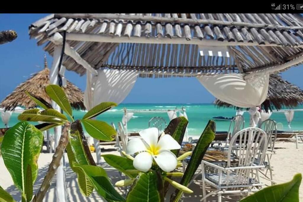 Luxury Simba House In Watamu ☆☆☆☆☆ Apartment Ngoại thất bức ảnh